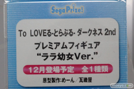 ワンダーフェスティバル 2015［夏］　画像　サンプル　レビュー　フィギュア　セガ　　初音ミク　ToLoveる　プリパラ　エヴァンゲリオン　17