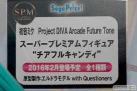 ワンダーフェスティバル 2015［夏］　画像　サンプル　レビュー　フィギュア　セガ　　初音ミク　ToLoveる　プリパラ　エヴァンゲリオン　28
