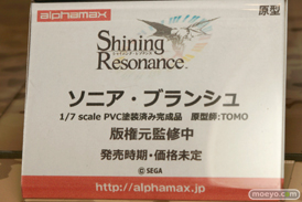 ワンダーフェスティバル 2015［夏］　画像　サンプル　レビュー　フィギュア　アルファマックス シャイニング・レゾナンス　ソニア・ブランジュ　11