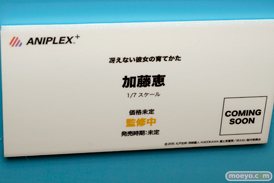 ワンダーフェスティバル 2015［夏］　画像　サンプル　レビュー　フィギュア　アニプレックス 冴えない彼女の育かた 加藤恵 11