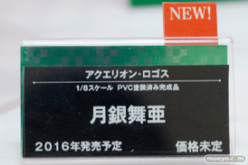 ワンダーフェスティバル 2015［夏］　画像　サンプル　レビュー　フィギュア　コトブキヤ アクエリオン・ロゴス 月銀舞亜　10