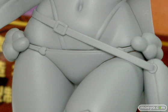 ワンダーフェスティバル 2015［夏］　画像　サンプル　レビュー　フィギュア　アクアマリン ホビージャパン ビキニ・ウォリアーズ メイジ　アルファマックス　HIRO　08