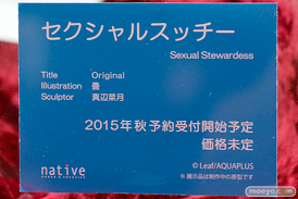 ワンダーフェスティバル 2015［夏］　セクシャルスッチー　ネイティブ　画像　サンプル　レビュー　フィギュア　畳　真辺菜月　11