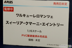 ワンダーフェスティバル 2015［夏］　画像　サンプル　レビュー　フィギュア　エイプラス　ワルキューレロマンツェ スィーリア　09