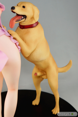 MDコミックス 獣DIRECT 川’R 主婦みさお(32才) ダイキ工業 画像 サンプル レビュー フィギュア アダルト エロ モロ Y乙J 10