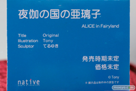 ワンダーフェスティバル 2015［夏］　画像　サンプル　レビュー　フィギュア　ネイティブ　夜伽の国の亜璃子 ALICE in Fairyland Tony　てるゆき　09