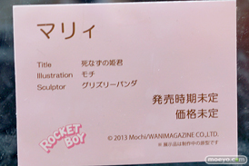 ワンダーフェスティバル 2015［夏］　画像　サンプル　レビュー　フィギュア　ネイティブ　ロケットボーイ　死なずの姫君 マリィ　グリズリーパンダ　11