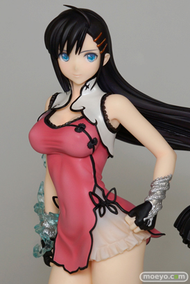 ブレードアークス from シャイニングEX 王白龍 2Pカラーver. アルファマックス 画像 サンプル レビュー フィギュア 2% 09