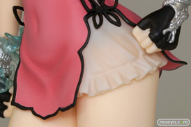 ブレードアークス from シャイニングEX 王白龍 2Pカラーver. アルファマックス 画像 サンプル レビュー フィギュア 2% 25