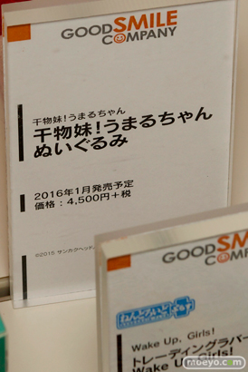 カフェレオキャラクターコンベンション2015秋 画像　サンプル　レビュー　フィギュア　グッドスマイルカンパニー　回天堂　レチェリー　メディコム・トイ　アルカディア　02