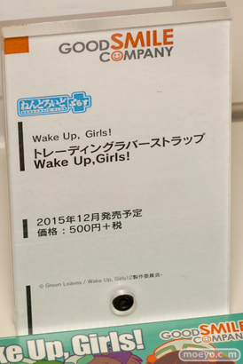 カフェレオキャラクターコンベンション2015秋 画像　サンプル　レビュー　フィギュア　グッドスマイルカンパニー　回天堂　レチェリー　メディコム・トイ　アルカディア　15