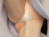 「ワンダーフェスティバル 2015［夏］」 様々なディーラーブースの様子「コブラ会」「新日暮里　キラッ☆キラ亭」「神聖マタンゴ帝国」