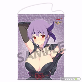 DEAD OR ALIVE 5 LAST ROUND×閃乱カグラ あやね おっぱいマウスパッド B2タペストリー＆フラットタイプクッション付限定版　ホビーストック　画像　03