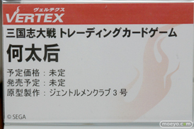 ヴェルテクスの三国志大戦 トレーディングカードゲーム 何太后のフィギュアサンプル画像11