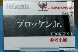 TAMASHII NATIONS AKIBA ショールームでの魂ネイション2015 アフター展示の様子33