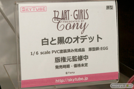 スカイチューブのT2ART・GIRLS 白と黒のオデットのフィギュアサンプル画像18