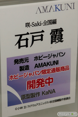 メガホビEXPO 2015 Autumnのホビージャパンブースの展示の様子画像04