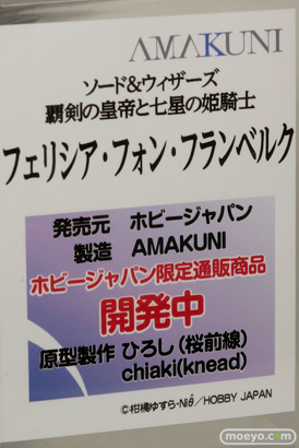 メガホビEXPO 2015 Autumnのホビージャパンブースの展示の様子画像08