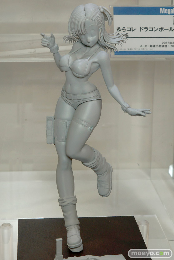 メガホビEXPO 2015 Autumnのメガハウスブースの展示の様子その1画像25