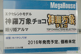 メガホビEXPO 2015 Autumnのメガハウスブースの展示の様子その2画像17