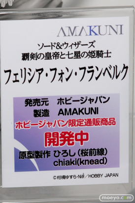 ホビージャパンのソード＆ウィザーズ 覇剣の皇帝と七星の姫騎士 フェリシア・フォン・フランベルグのフィギュアサンプル画像10