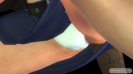 DEAD OR ALIVE 5 Last Roundのデザイナー特別賞 2015 コスチュームのヒトミとレイファンのパンツおっぱいサンプル画像04