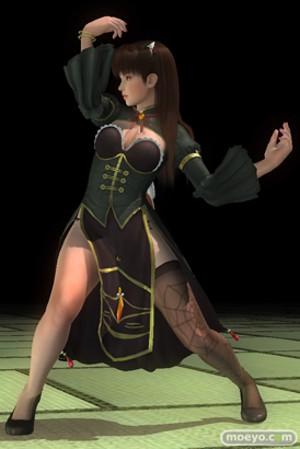 DEAD OR ALIVE 5 Last Roundのデザイナー特別賞 2015 コスチュームのヒトミとレイファンのパンツおっぱいサンプル画像08