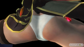 DEAD OR ALIVE 5 Last Roundのデザイナー特別賞 2015 コスチュームのヒトミとレイファンのパンツおっぱいサンプル画像14