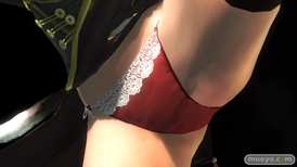 DEAD OR ALIVE 5 Last Roundのデザイナー特別賞 2015 コスチュームのヒトミとレイファンのパンツおっぱいサンプル画像17