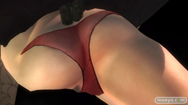 DEAD OR ALIVE 5 Last Roundのデザイナー特別賞 2015 コスチュームのヒトミとレイファンのパンツおっぱいサンプル画像18
