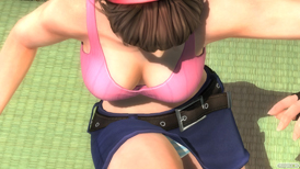 DEAD OR ALIVE 5 Last Roundのデザイナー特別賞 2015 コスチュームのヒトミとレイファンのパンツおっぱいサンプル画像19