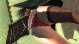 DEAD OR ALIVE 5 Last Roundのデザイナー特別賞 2015 コスチュームのヒトミとレイファンのパンツおっぱいサンプル画像21