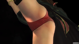 DEAD OR ALIVE 5 Last Roundのデザイナー特別賞 2015 コスチュームのヒトミとレイファンのパンツおっぱいサンプル画像22