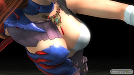 DEAD OR ALIVE 5 Last Roundの若木民喜』デザインコス 『無道の鎧』のサンプル画像03