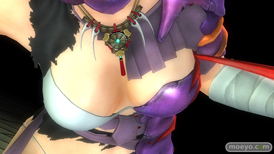 DEAD OR ALIVE 5 Last Roundの若木民喜』デザインコス 『無道の鎧』のサンプル画像10