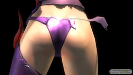 DEAD OR ALIVE 5 Last Roundの若木民喜』デザインコス 『無道の鎧』のサンプル画像13