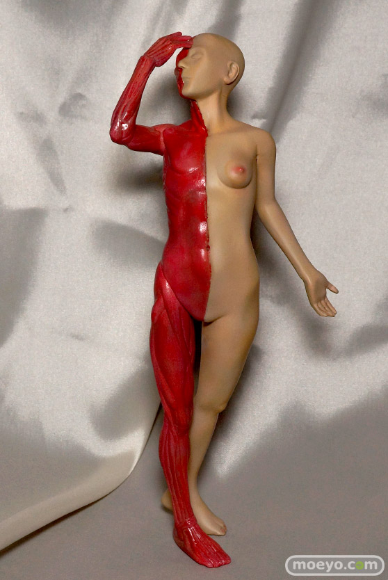 トレジャーフェスタin有明14ガレージキットディーラー カルガモ とらの会 百ヶ店 新作レポ画像 13