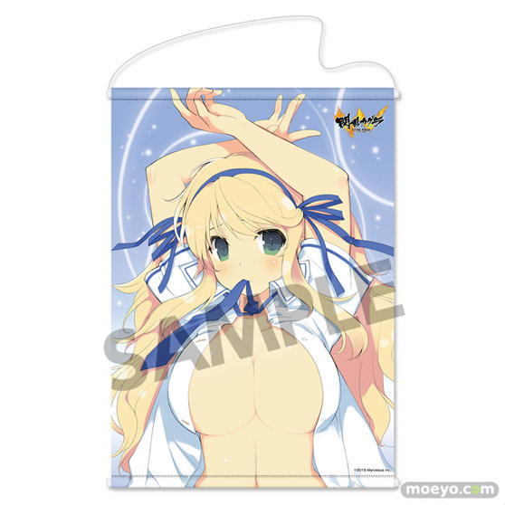 閃乱カグラ B2タペストリーのサンプル画像03