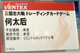 ワンダーフェスティバル 2016［冬］のヴェルテクスのフィギュアサンプル画像斑鳩野中柚希セルベリア 13