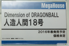 ワンダーフェスティバル 2016［冬］のメガハウスのフィギュアサンプル画像　ビキニ・ウォリアーズ　鮎川まどか　アイマス　12
