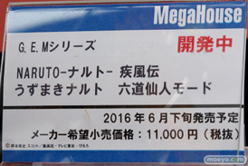 ワンダーフェスティバル 2016［冬］のメガハウスのフィギュアサンプル画像　ビキニ・ウォリアーズ　鮎川まどか　アイマス　24