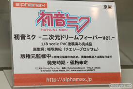 ワンダーフェスティバル 2016［冬］のアルファマックス　スカイチューブのフィギュアサンプル画像　Tony　春日野穹　そに子　11