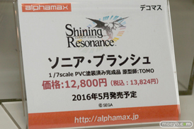 ワンダーフェスティバル 2016［冬］のアルファマックス　スカイチューブのフィギュアサンプル画像　Tony　春日野穹　そに子　14