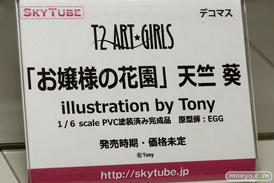 ワンダーフェスティバル 2016［冬］のアルファマックス　スカイチューブのフィギュアサンプル画像　Tony　春日野穹　そに子　26