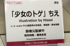 ワンダーフェスティバル 2016［冬］のアルファマックス　スカイチューブのフィギュアサンプル画像　Tony　春日野穹　そに子　32