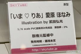 ワンダーフェスティバル 2016［冬］のアルファマックス　スカイチューブのフィギュアサンプル画像　Tony　春日野穹　そに子　34