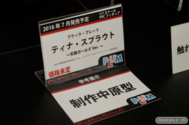 ワンダーフェスティバル 2016［冬］のプラムのフィギュアサンプル画像　湊智花　ティナ　星里果菜　06