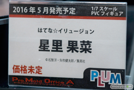 ワンダーフェスティバル 2016［冬］のプラムのフィギュアサンプル画像　湊智花　ティナ　星里果菜　08