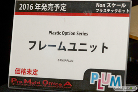 ワンダーフェスティバル 2016［冬］のプラムのフィギュアサンプル画像　湊智花　ティナ　星里果菜　16