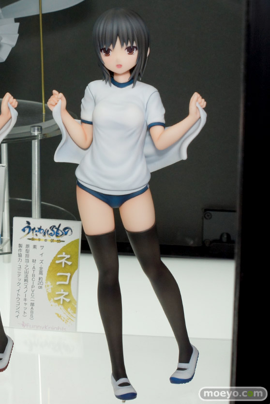 ワンダーフェスティバル 2016［冬］のアオシマのフィギュアサンプル画像　秋津洲　翔鶴改二　瑞鶴改二　速吸　ネコネ　青山さん　12